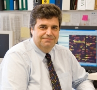 Dimitris Kafetzopoulos